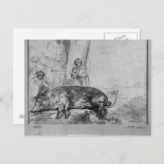 The Sow, 1643 Briefkaart (Voorkant / Achterkant)