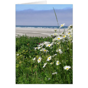 "The Summer Ocean Daisy"