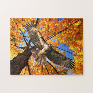 "The Sunday Hawk" Puzzle Legpuzzel