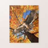 "The Sunday Hawk" Puzzle Legpuzzel (Verticaal)