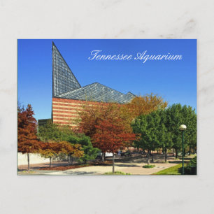 The Tennessee Aquarium - Chattanooga, TN. Briefkaart