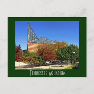 The Tennessee Aquarium - Chattanooga, TN. Briefkaart