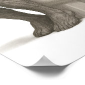 The Thinker on the Throne Poster (Hoek)