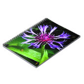 THE Thistle     Notitieboek (Linkerzijde)