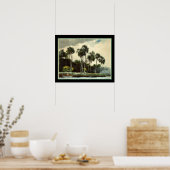 "The Turkey Buzzard" Winslow Homer ca. 1904 Poster (Keuken)