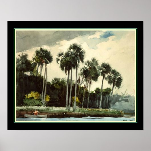 "The Turkey Buzzard" Winslow Homer ca. 1904 Poster (Voorkant)