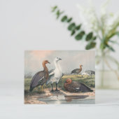 The Upland Goose van Joseph Wolf Briefkaart (Staand voorkant)