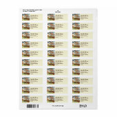 The Valley Gardens Harrogate van Farida Greenfield Etiket (Full Sheet)