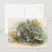 The Wagati Cat by Joseph Wolf Briefkaart (Voorkant / Achterkant)