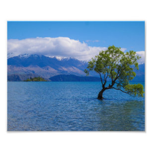The Wanaka Tree, Lake Wanaka, NZ - Foto print Foto Afdruk
