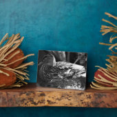 The Watcher Fotoplaat (Zijkant)