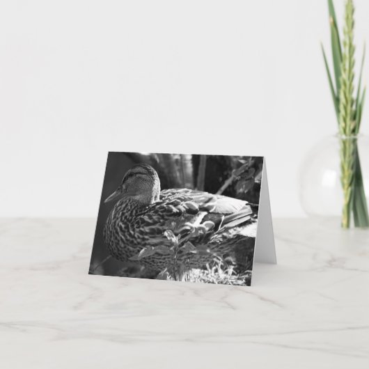 The Watcher Kaart (Voorkant)