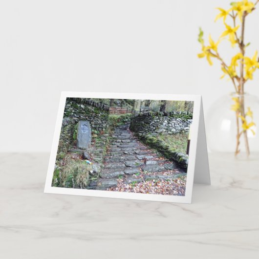 The Watkin Path, Snowdonia, Wales Kaart (Gele Bloem)