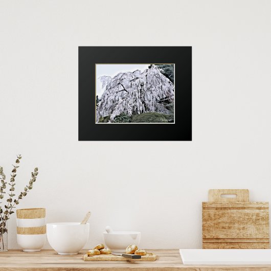 The Weeping Cherry Tree: Ono-ji temple Poster (Keuken)