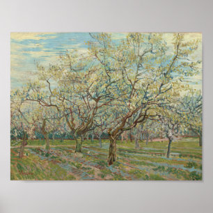 The White Orchard Arles, April 1888 Vincent van Go Poster