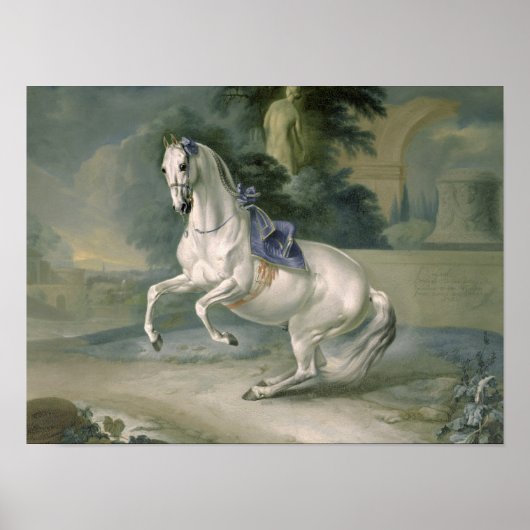 The White Stallion 'Leal' en levade, 1721 Poster (Voorkant)
