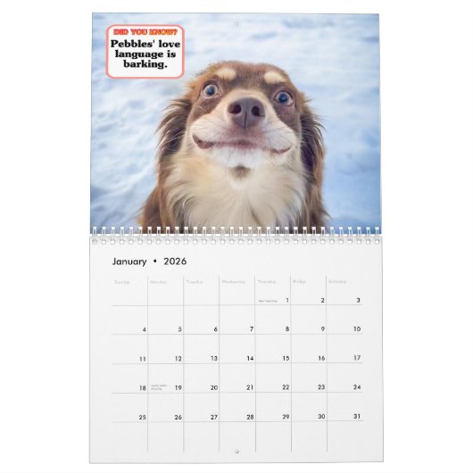 The Whole Gang Kalender (Jan 2026)