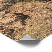 The Window - Big Bend, Texas Poster (Hoek)