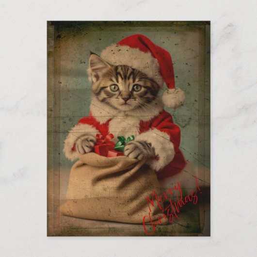 The 'Yuletide Yawn' Dashing Kitten Christmas Briefkaart (Voorkant)