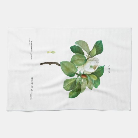 Thee : BOTANISCH : REDOUTÉ : MAGNOLIA Theedoek (Horizontaal)