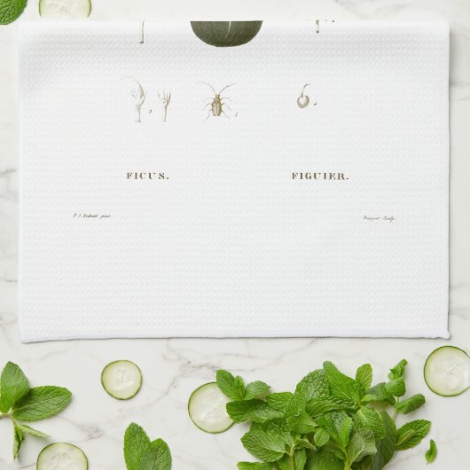 Thee : BOTANISCH : REDOUTÉ : VEGS Theedoek (Gevouwen)