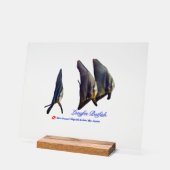 Thee Cute Longfin Batfish Beverage Coaster (Angle)
