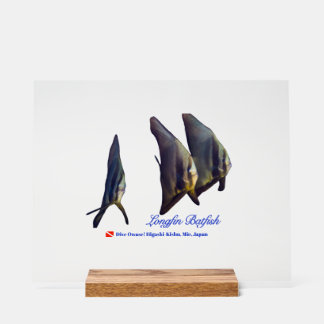 Thee Cute Longfin Batfish Beverage Coaster Acryl Bord
