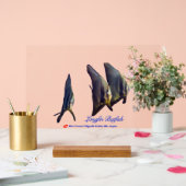 Thee Cute Longfin Batfish Beverage Coaster Acryl Bord (Huwelijk)