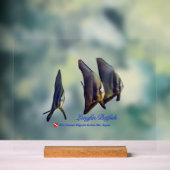 Thee Cute Longfin Batfish Beverage Coaster Acryl Bord (Neutraal)