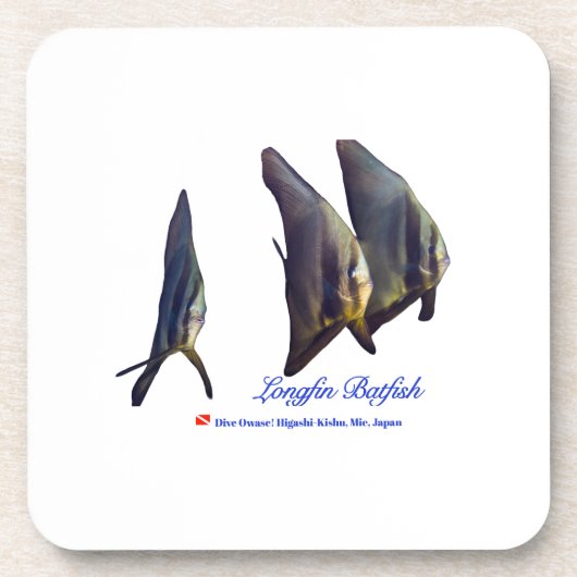 Thee Schattigee Longfin Batfish Bier Onderzetter (Voorkant)
