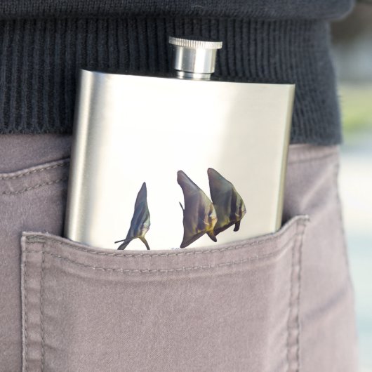 Thee Schattigee Longfin Batfish Flacon (Voorbeeld)