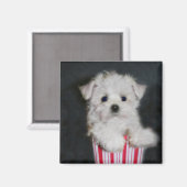 Theekopje Maltees Magneet (Voorkant / Achterkant)