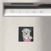 Theekopje Maltees Magneet (Insitu (Vaatwasser))