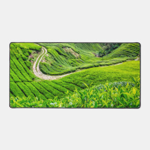Theeplantage Cameron Highlands Bureaumat