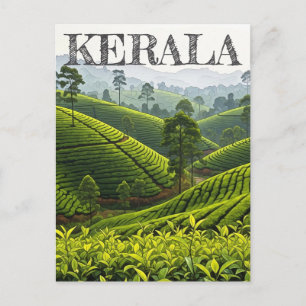 Theeplantage in Kerala, India Briefkaart