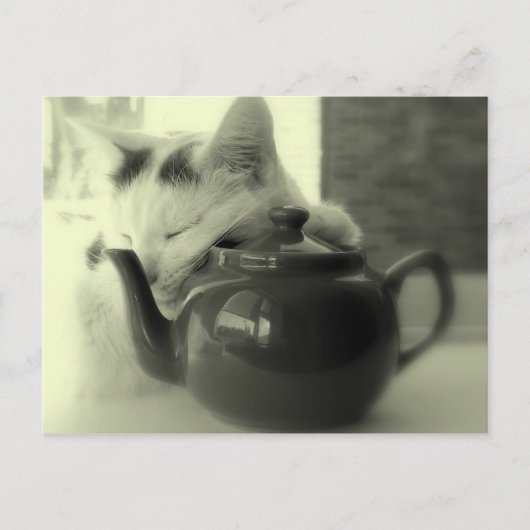 Theepot kussen briefkaart (Voorkant)