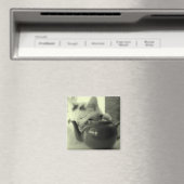 Theepot kussen magneet (Insitu (Vaatwasser))