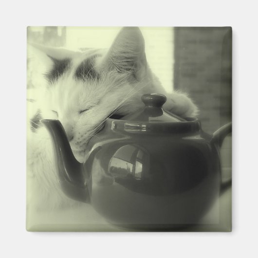 Theepot kussen magneet (Voorkant)