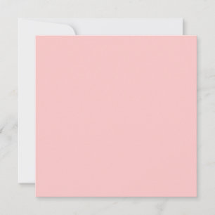 Theeroos Roze Effen Kleur Kaart