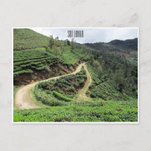 theetrails sri lanka briefkaart