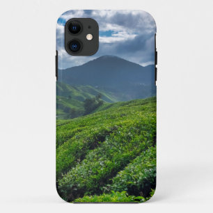 Theetuin Cameron Highlands iPhone 11 Hoesje