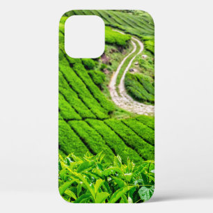 Theetuin Cameron Highlands iPhone 12 Pro Hoesje