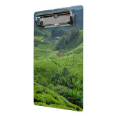 Theetuin Cameron Highlands Mini Klembord (Angled2)