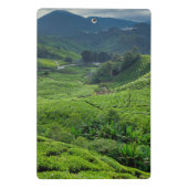 Theetuin Cameron Highlands Mini Klembord (Achterkant)