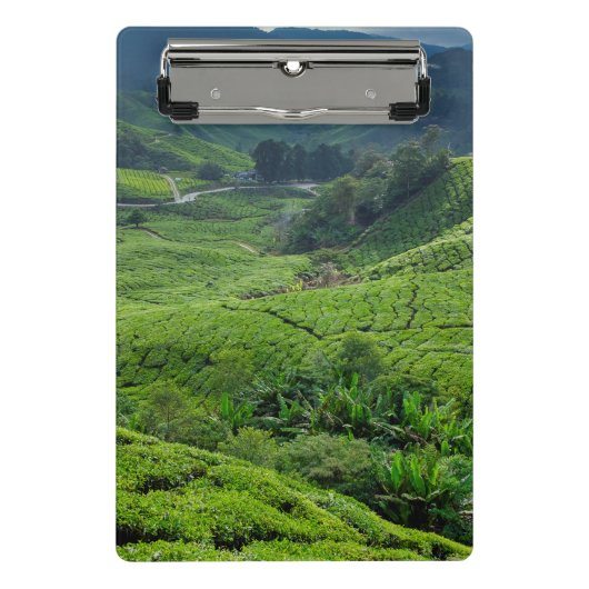 Theetuin Cameron Highlands Mini Klembord (Voorkant)