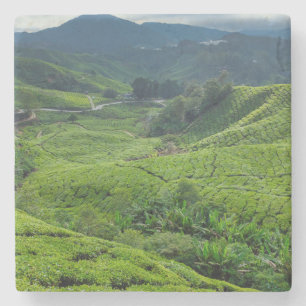 Theetuin Cameron Highlands Stenen Onderzetter