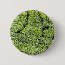 Theetuinen van Munnar op