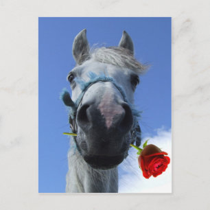 thema paard en roos briefkaart