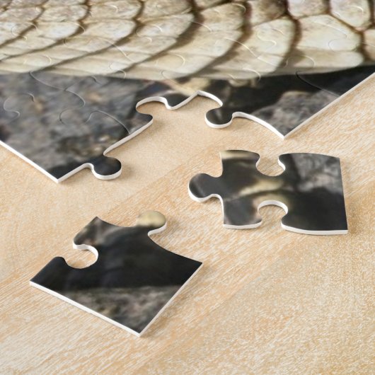 Thème de la nature Alligators en direct Puzzles po (Côté)