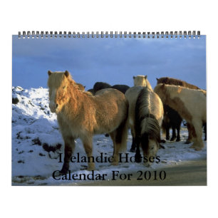 Thème islandais de 2010 chevaux de calendrier